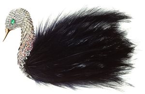 wilfredo_rosado_black_swan Wilfredo Rosado Black Swan