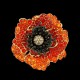 Crevoshay_poppy