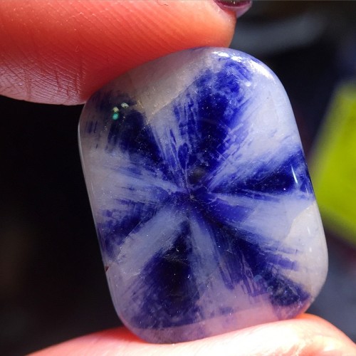 File Feb 10, 8 42 19 AM Mayer and Watt Traphiche sapphire